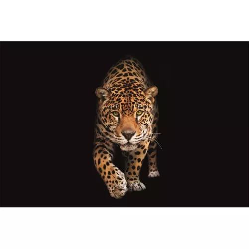 Payaa Gevlekte wilde kat - Panter 300x200x2cm mat (113483)