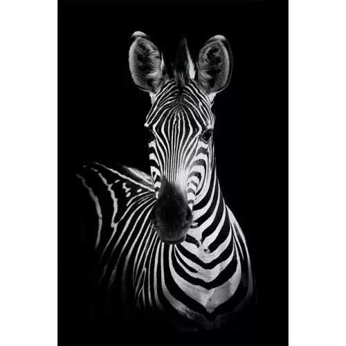 Payaa 120x180x2cm Alubrush Zebra (107934)