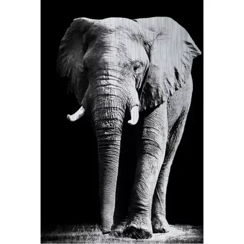 Payaa Olifant Alubrush 120x180x2cm (107932)