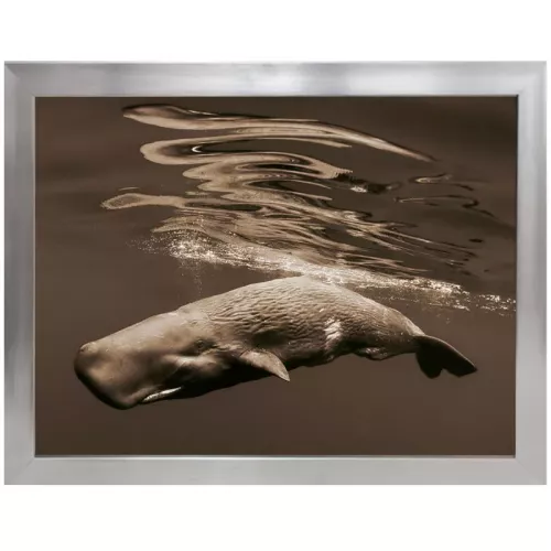 Payaa Potvis 90x120x3cm (102668)