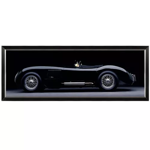 Payaa 1951 Jaguar C-Type 180x60x3cm (102628)