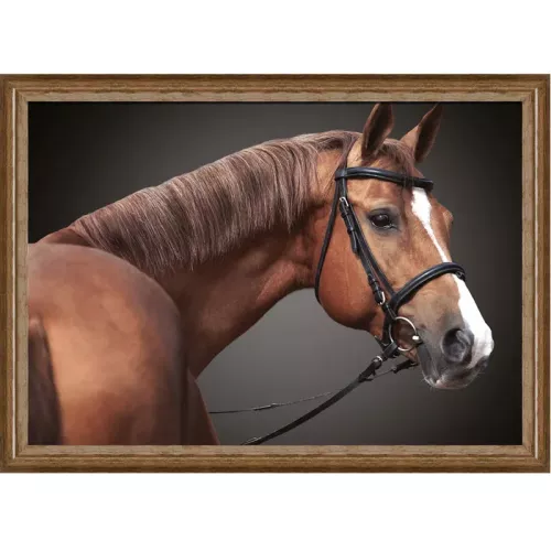 Payaa Bruin paard 2 80x60x3cm (105174)