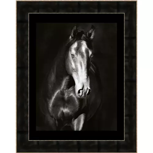 Payaa Zwart Paard 2 70x90x3cm (105172)