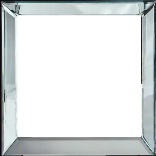 Wissellijst Parel 50x4.5x50cm Frame