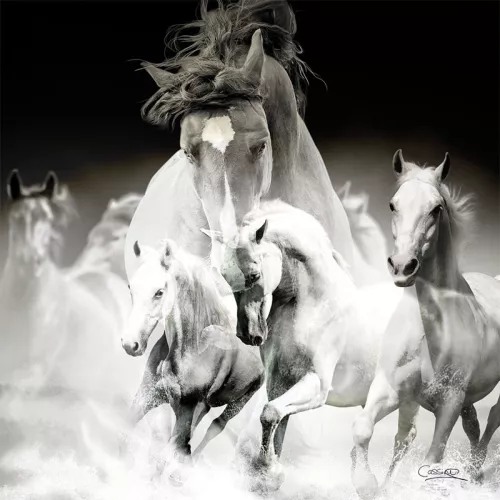 Payaa Paardenkracht 120x120cm (200235)