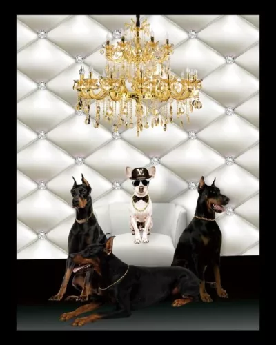 Payaa LV Chihuahua 60x80cm Black Frame (201586)