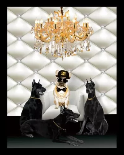 Payaa LV Chihuahua 60x80cm Black Frame (201587)